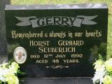 image of grave number 919248